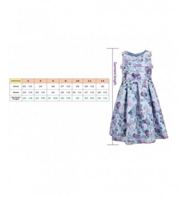 Brands Girls' Special Occasion Dresses