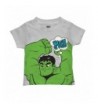 Marvel Hulk Smash Toddler Shirt