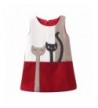 LittleSpring Little Girls Dress Cat