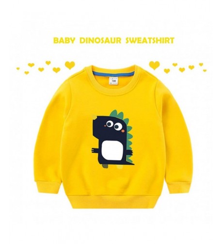 FOROOM Dinosaur Sweatshirt Crewneck Pullover