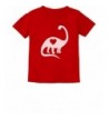 TeeStars Dinosaur Heart Toddler T Shirt