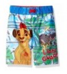 Lion Guard Trunks Swimwear Toddler