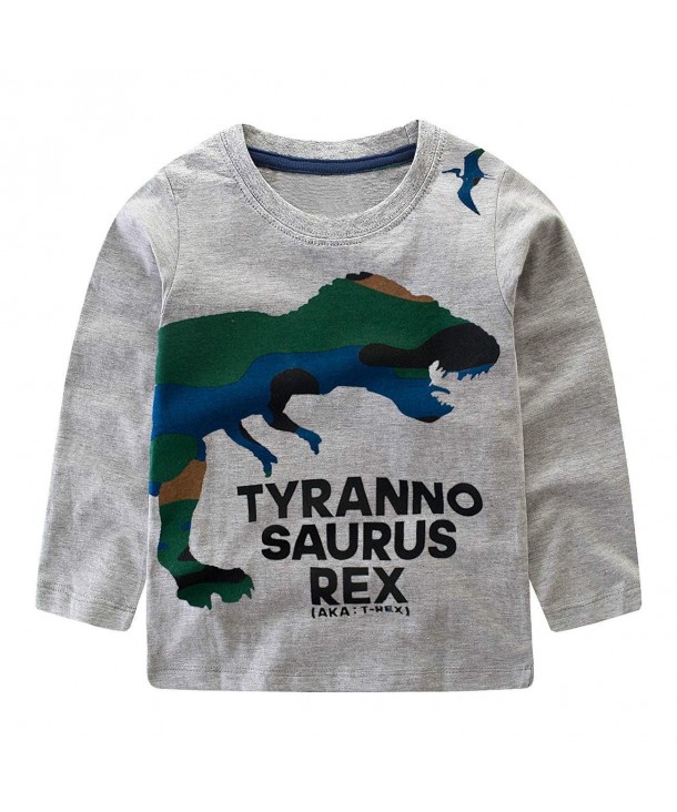 Dinosaur Sweatshirt Toddler Printed Pullover