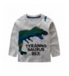 Dinosaur Sweatshirt Toddler Printed Pullover