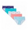 Hanes Ultimate Stretch Hipster Panties