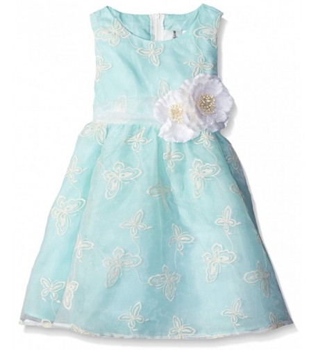 Rare Editions Girls Embroidered Organza