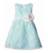 Rare Editions Girls Embroidered Organza
