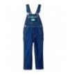 Walls Liberty Washed Denim Overall