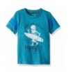 Hurley Boys Character Graphic T Shirt