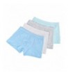 zw99 Store Underwear Comfortable Panties