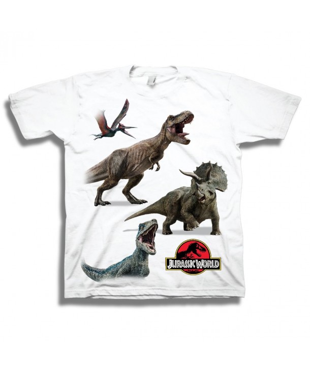 Jurassic Dinosaur Featuring Velociraptor Dinosaurs
