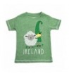 Green Leprechaun Sheep Ireland T Shirt