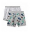 Carters Boys Boxer Brief 2 Pack