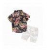 Hawaiian Outfits Toddler Button Down Clothes