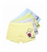 AJOMAN Underwear 4 Pack Lovely Panties