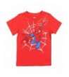 Spiderman Toddler Little Sleeve Graphic