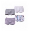 crazycatz Toddler Briefs Underwear Cotton