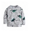 Dinosaur Sweater Toddler T Shirts Pullover