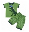 Pajamas Dinosaur Sleepwear Toddler Clothes