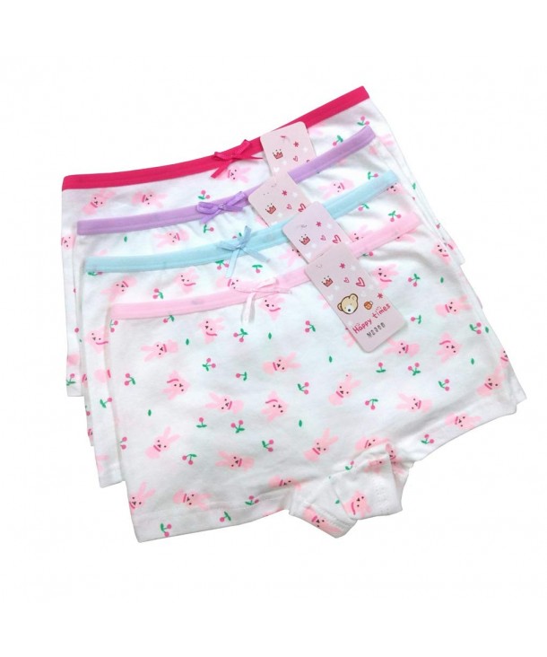Bowknot Princess Panties Boyshort Underwear