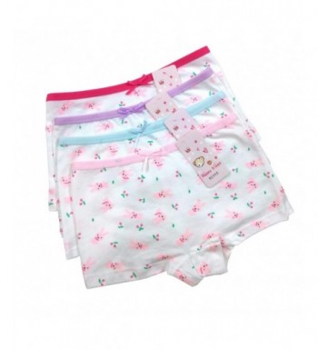 Bowknot Princess Panties Boyshort Underwear